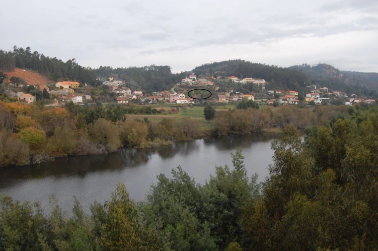 Terreno Agricola ou Rústico para Venda em Travassô e Óis da Ribeira Foto 4