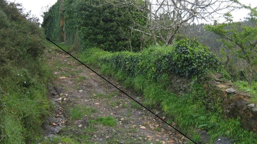 Terreno Agricola ou Rústico para Venda em Travassô e Óis da Ribeira