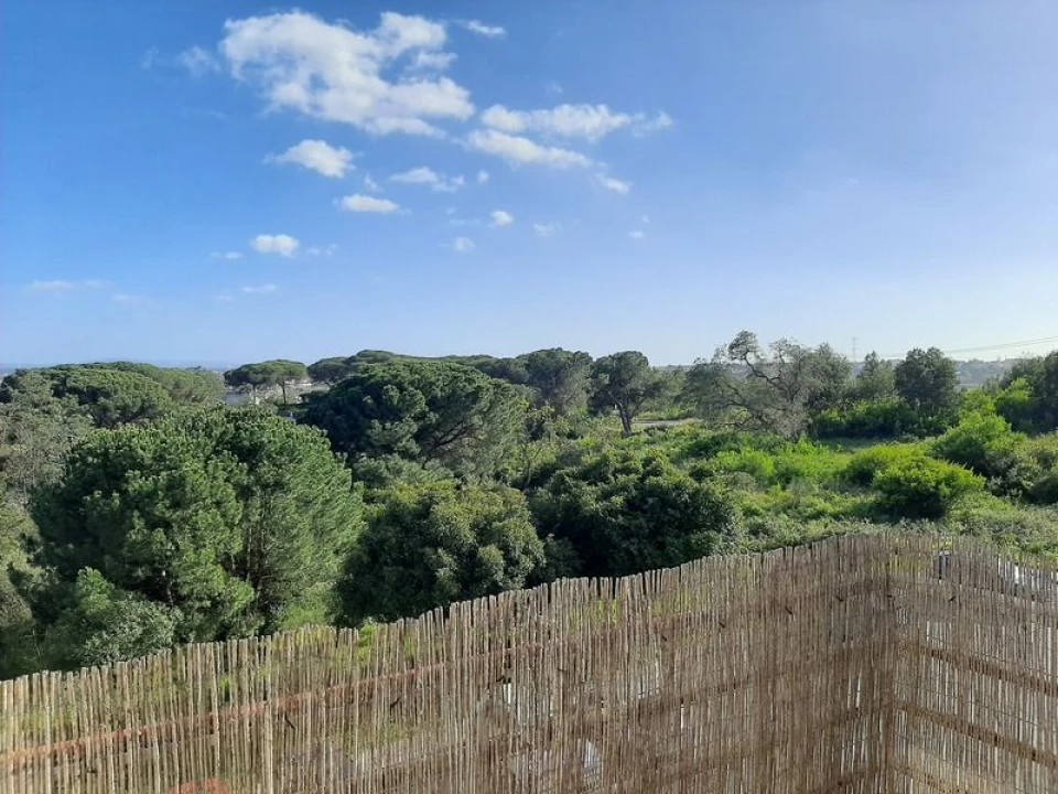 Apartamento T4 para Venda em Charneca de Caparica e Sobreda Foto 6