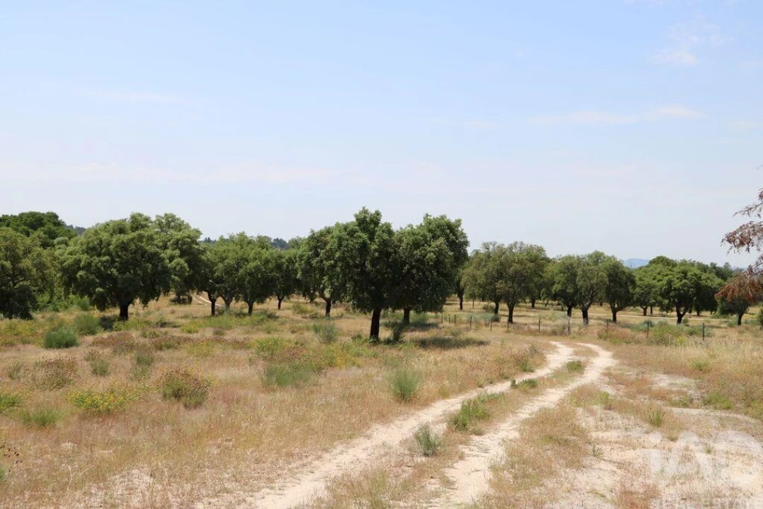 Prédio para Venda em Monsanto e Idanha-A-Velha Foto 7