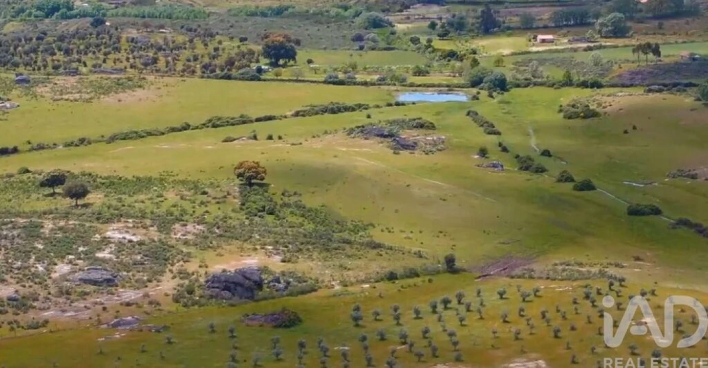 Prédio para Venda em Monsanto e Idanha-A-Velha Foto 4