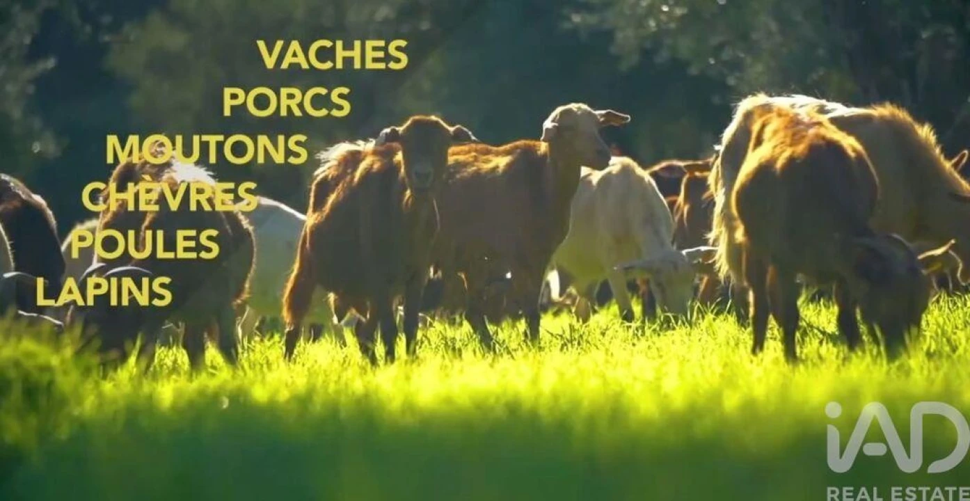 Prédio para Venda em Monsanto e Idanha-A-Velha Foto 16