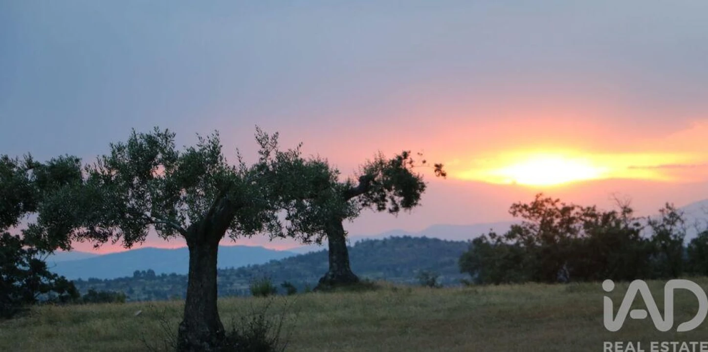 Prédio para Venda em Monsanto e Idanha-A-Velha Foto 23