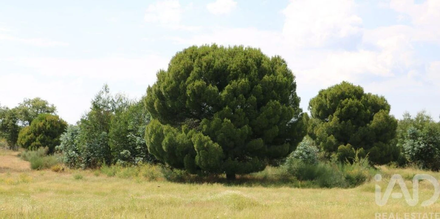 Prédio para Venda em Monsanto e Idanha-A-Velha Foto 8