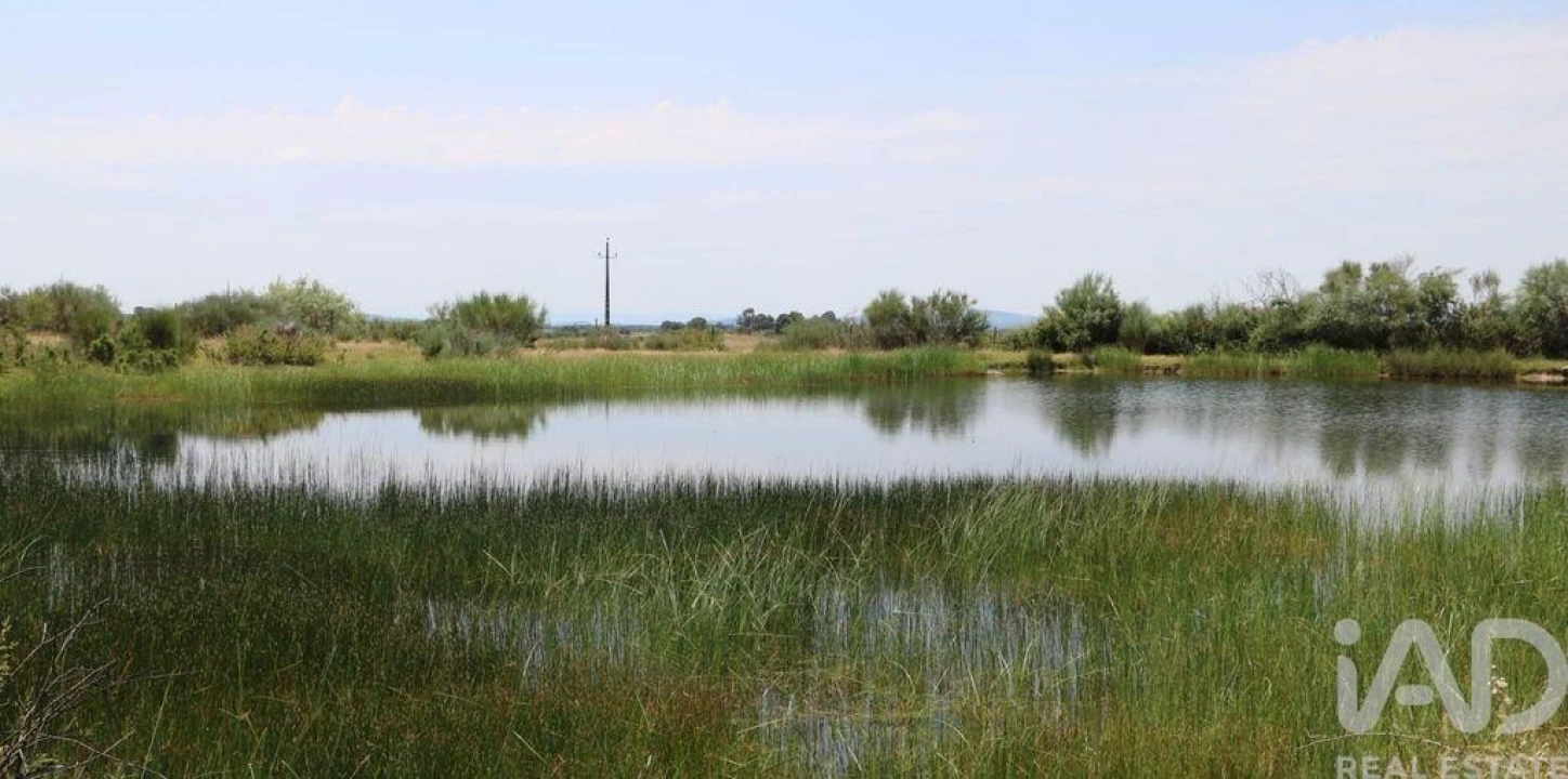 Prédio para Venda em Monsanto e Idanha-A-Velha Foto 9