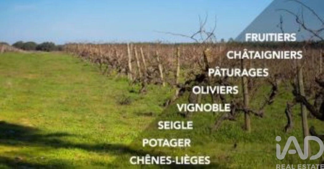 Prédio para Venda em Monsanto e Idanha-A-Velha Foto 15