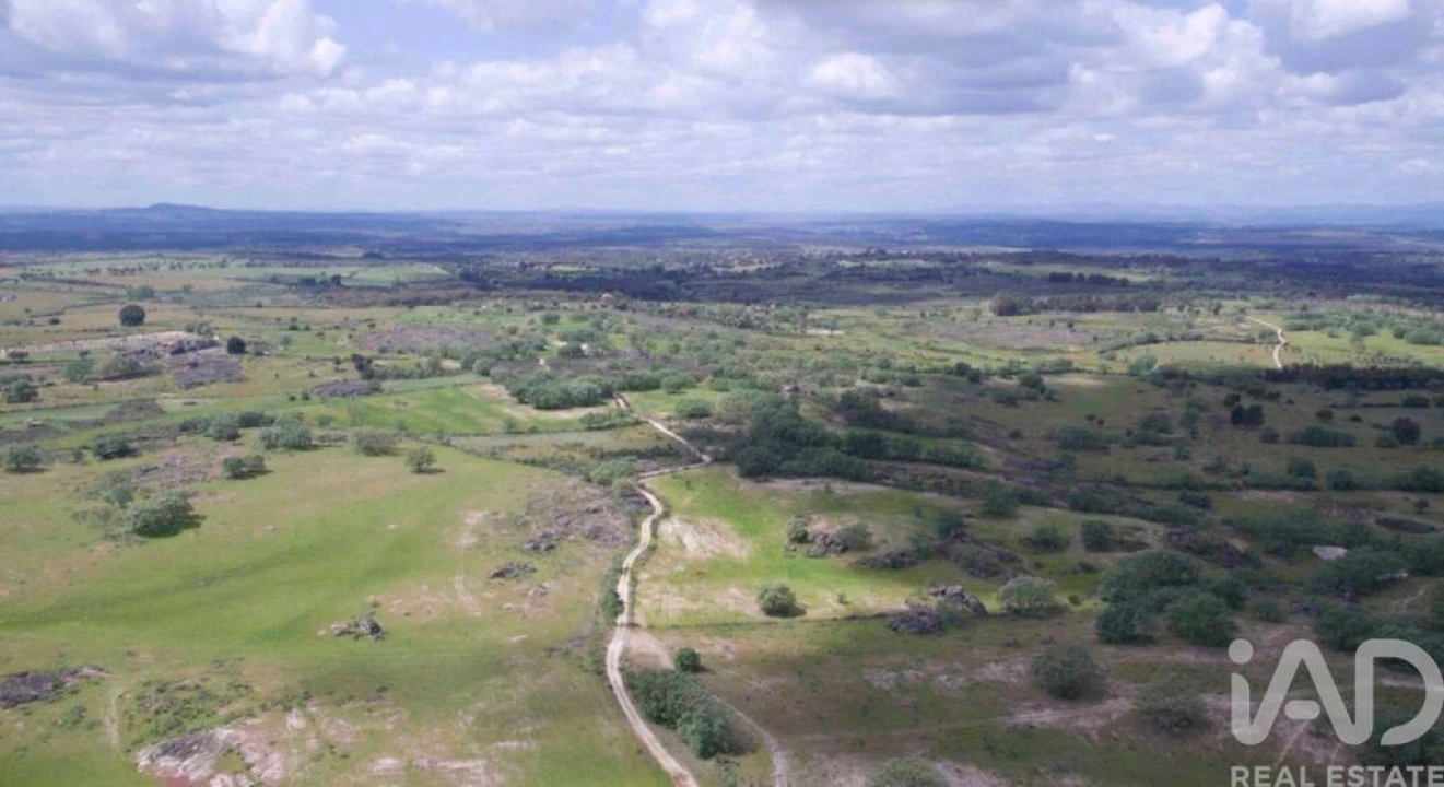 Prédio para Venda em Monsanto e Idanha-A-Velha Foto 22