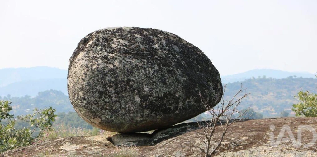 Prédio para Venda em Monsanto e Idanha-A-Velha Foto 5