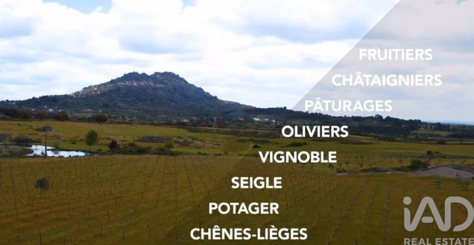 Prédio para Venda em Monsanto e Idanha-A-Velha Foto 13