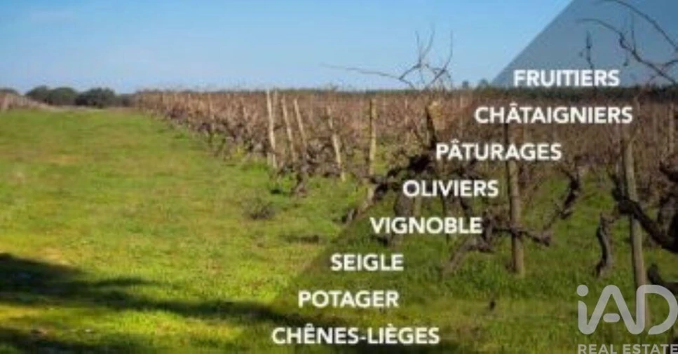 Prédio para Venda em Monsanto e Idanha-A-Velha Foto 15