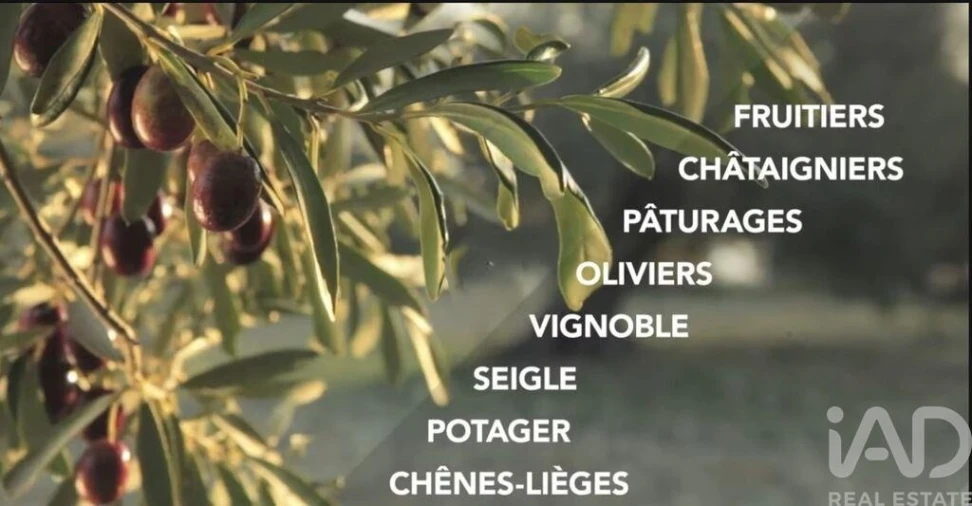 Prédio para Venda em Monsanto e Idanha-A-Velha Foto 11