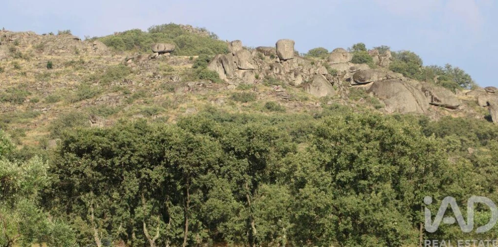 Prédio para Venda em Monsanto e Idanha-A-Velha Foto 6