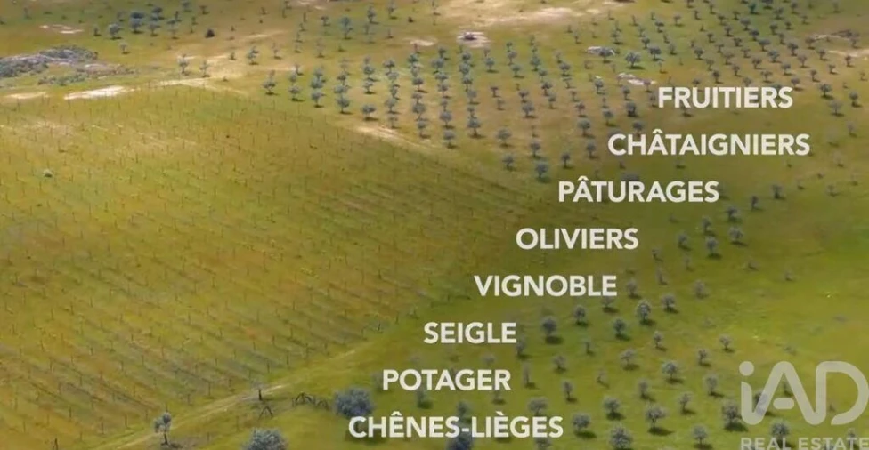 Prédio para Venda em Monsanto e Idanha-A-Velha Foto 12