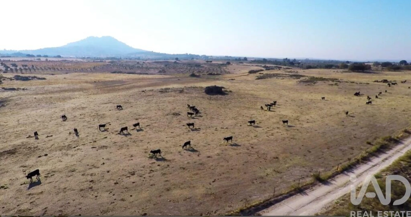 Prédio para Venda em Monsanto e Idanha-A-Velha Foto 21