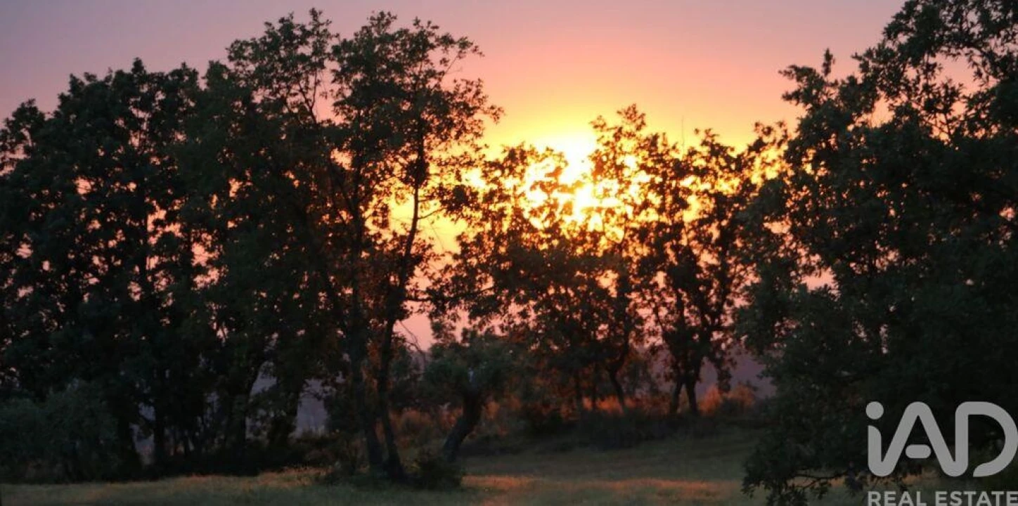 Prédio para Venda em Monsanto e Idanha-A-Velha Foto 25