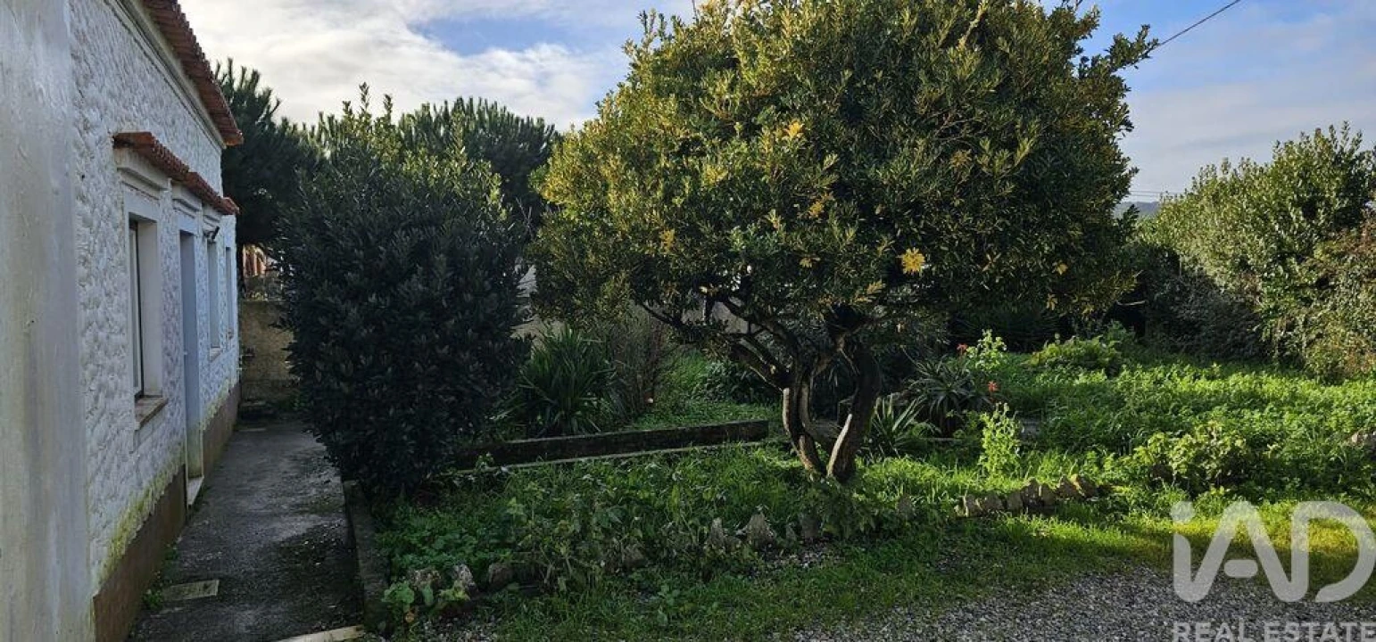 Moradia T1 para Venda em Cela Foto 18