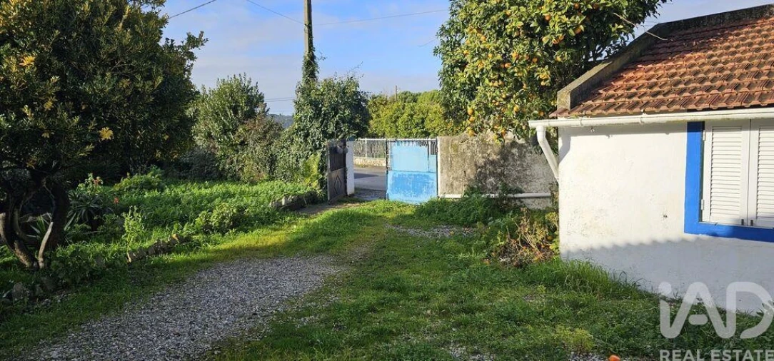 Moradia T1 para Venda em Cela Foto 17