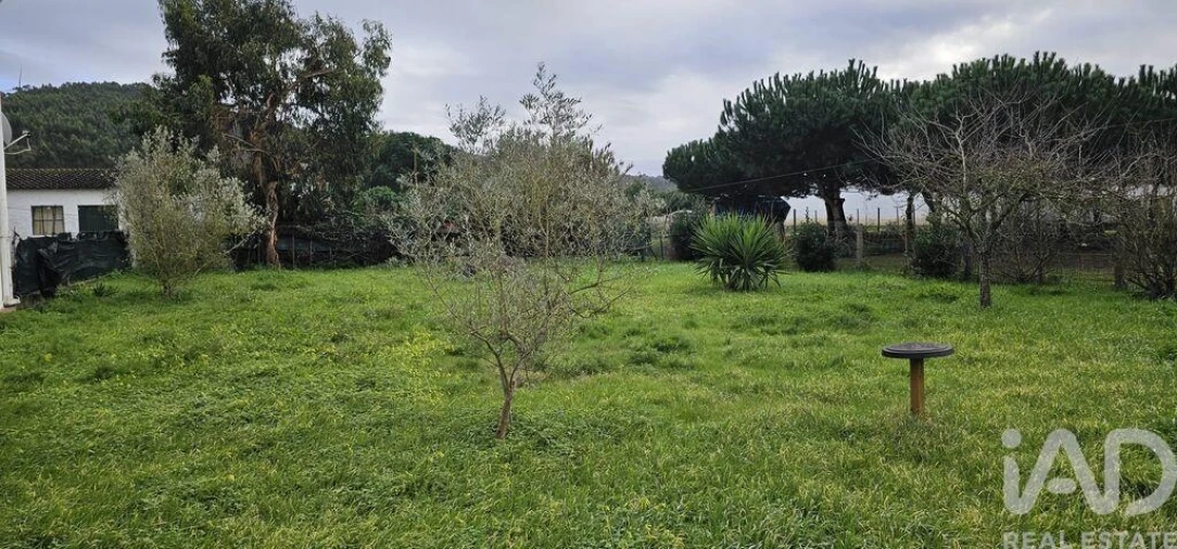 Moradia T1 para Venda em Cela Foto 19