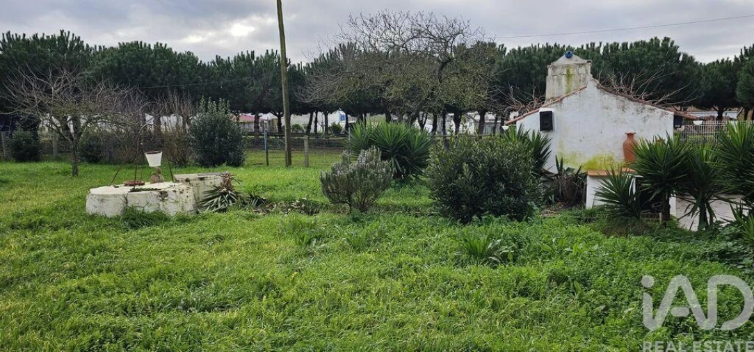 Moradia T1 para Venda em Cela Foto 20