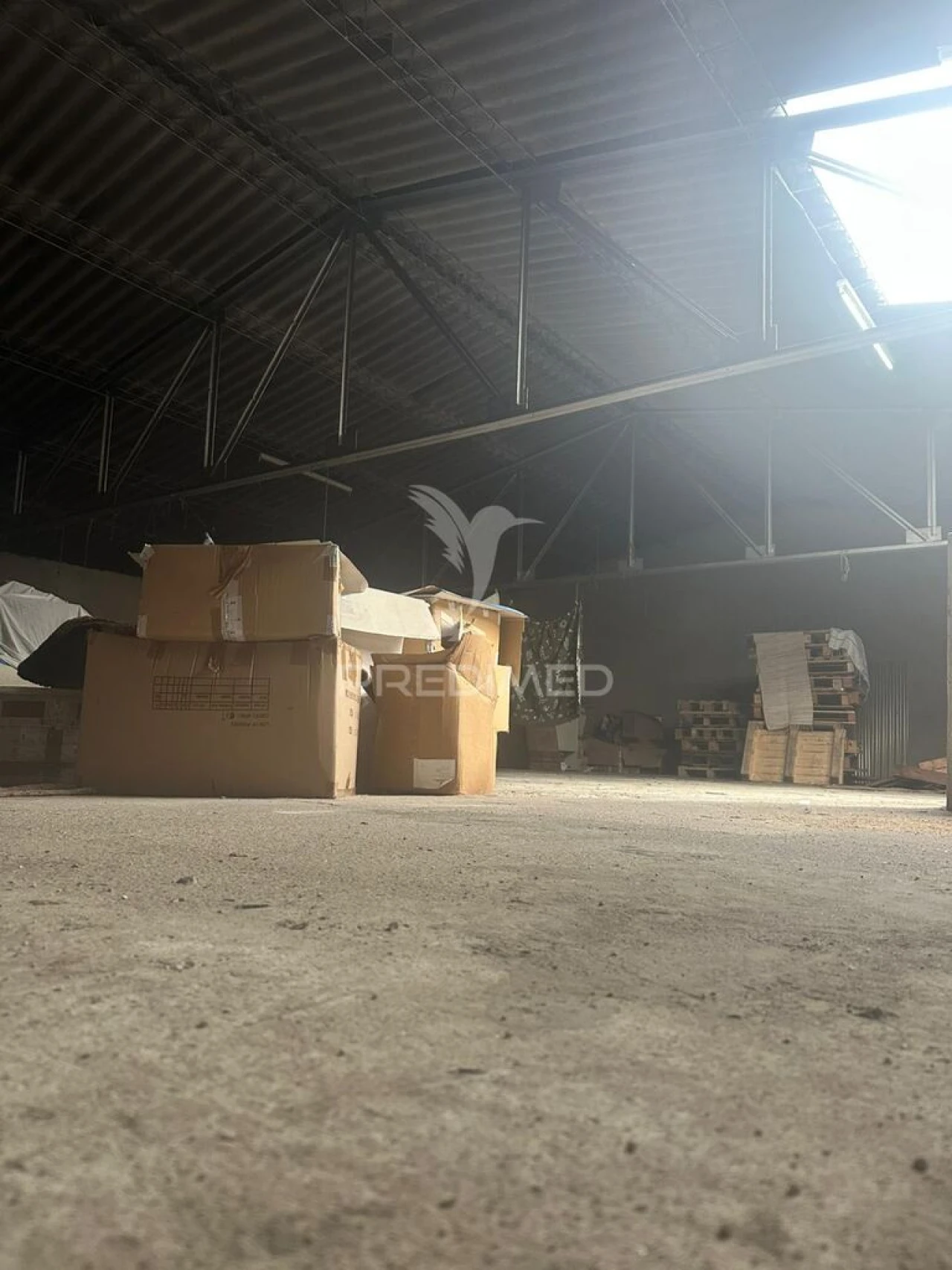 Prédio para Venda em Braga (Maximinos, Sé e Cividade) Foto 8