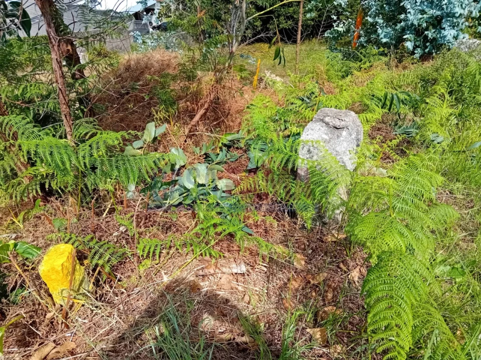 Terreno para Venda em Santo Tirso, Couto (Santa Cristina e São Miguel) e Burgães Foto 11