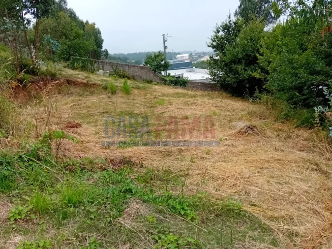 Terreno para Venda em Santo Tirso, Couto (Santa Cristina e São Miguel) e Burgães Foto 5