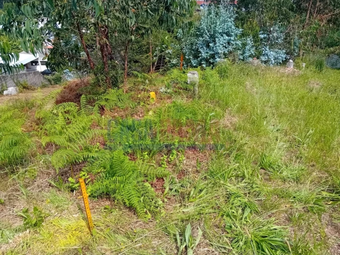 Terreno para Venda em Santo Tirso, Couto (Santa Cristina e São Miguel) e Burgães Foto 9