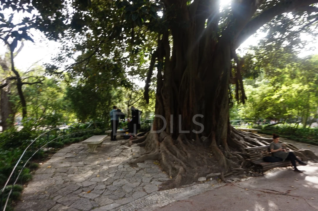 Apartamento T1 para Venda em Estrela Foto 19