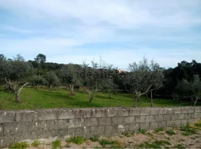 Moradia T2 para Venda em Esperança Foto 9