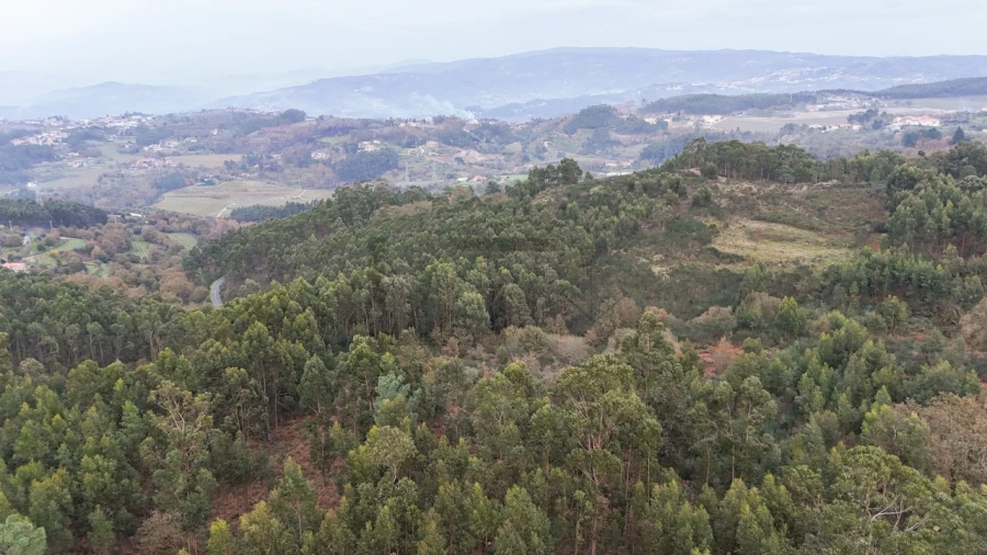 Moradia T5 para Venda em Avessadas e Rosém Foto 9