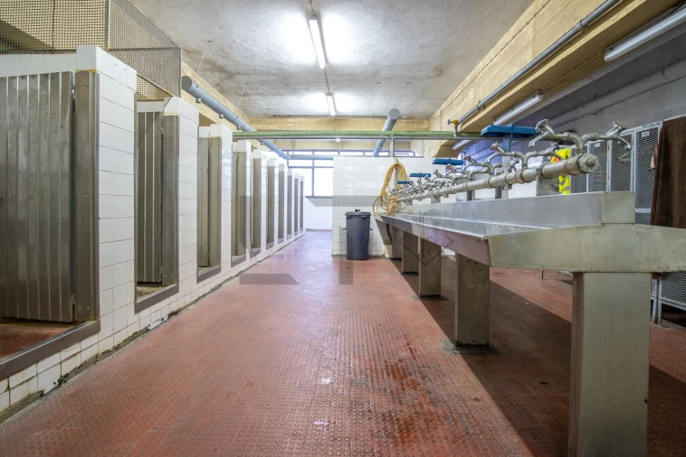 Prédio para Venda em Sacavém e Prior Velho Foto 37