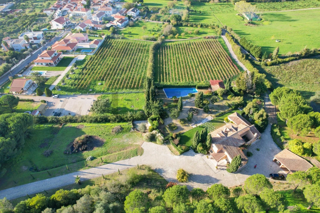 Quinta T5 para Venda em Azeitão (São Lourenço e São Simão) Foto 1