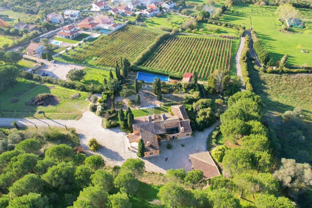 Quinta T5 para Venda em Azeitão (São Lourenço e São Simão) Foto 3