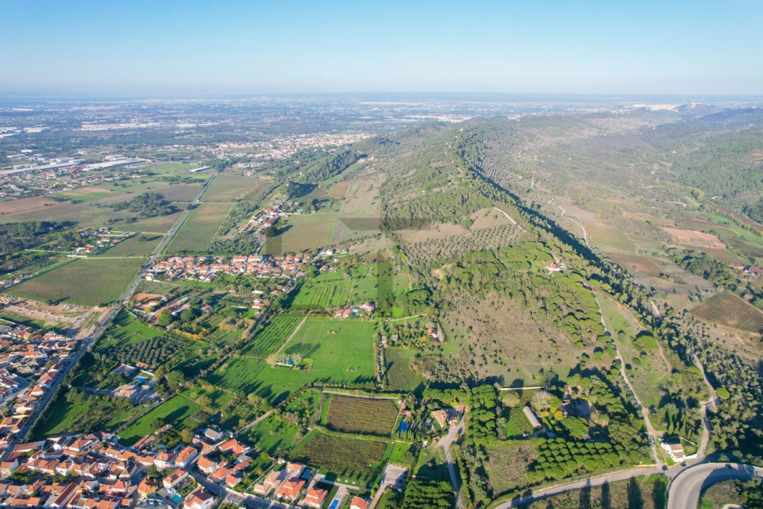 Quinta T5 para Venda em Azeitão (São Lourenço e São Simão) Foto 7