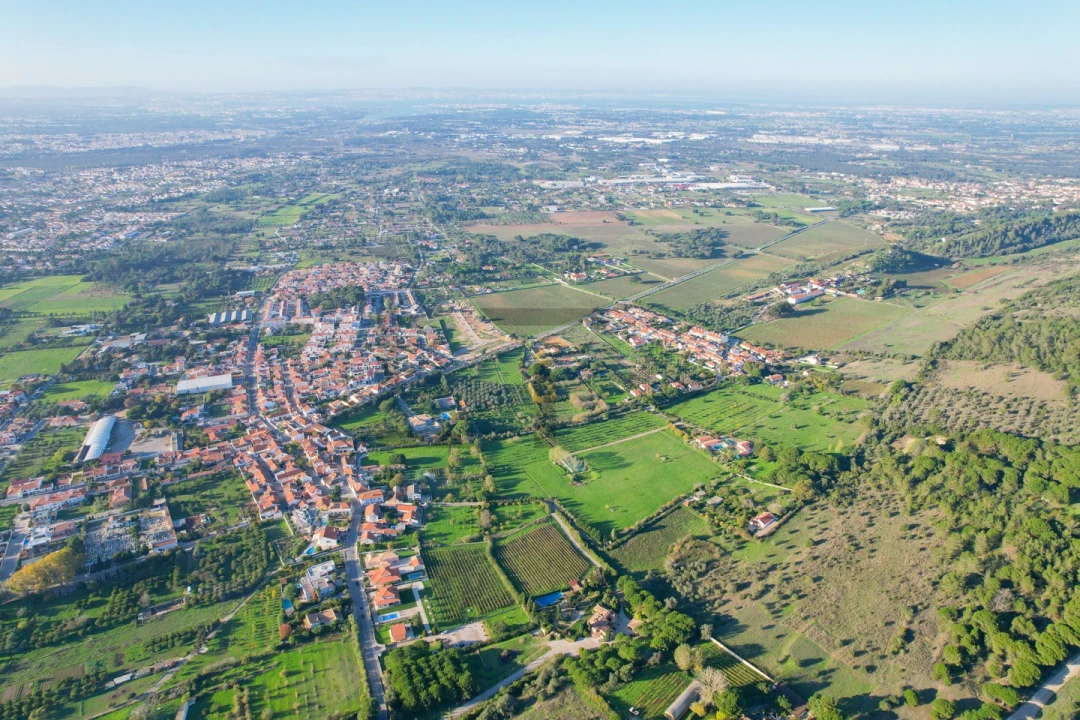Quinta T5 para Venda em Azeitão (São Lourenço e São Simão) Foto 8