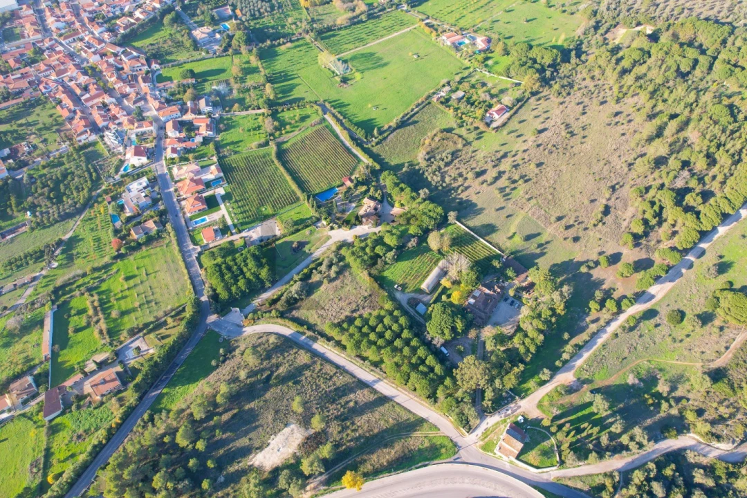 Quinta T5 para Venda em Azeitão (São Lourenço e São Simão) Foto 9