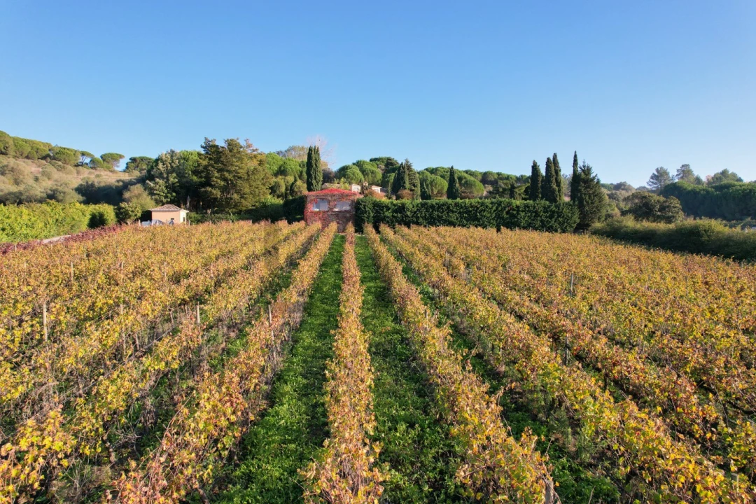 Quinta T5 para Venda em Azeitão (São Lourenço e São Simão) Foto 13