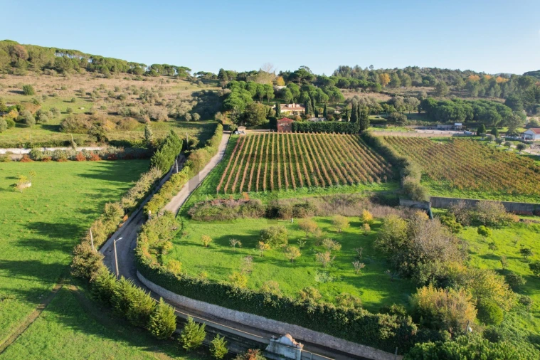 Quinta T5 para Venda em Azeitão (São Lourenço e São Simão) Foto 4