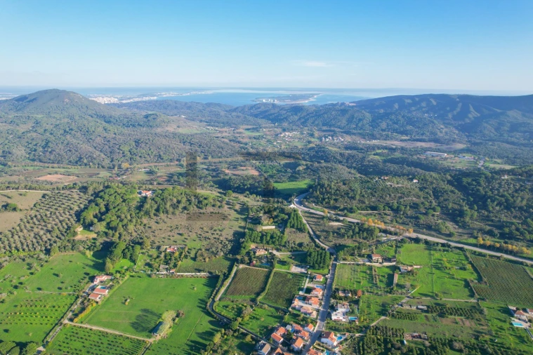 Quinta T5 para Venda em Azeitão (São Lourenço e São Simão) Foto 6