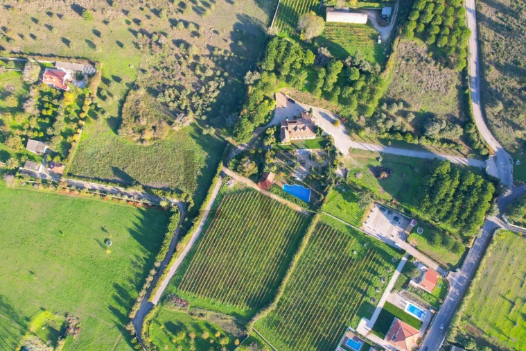 Quinta T5 para Venda em Azeitão (São Lourenço e São Simão) Foto 10