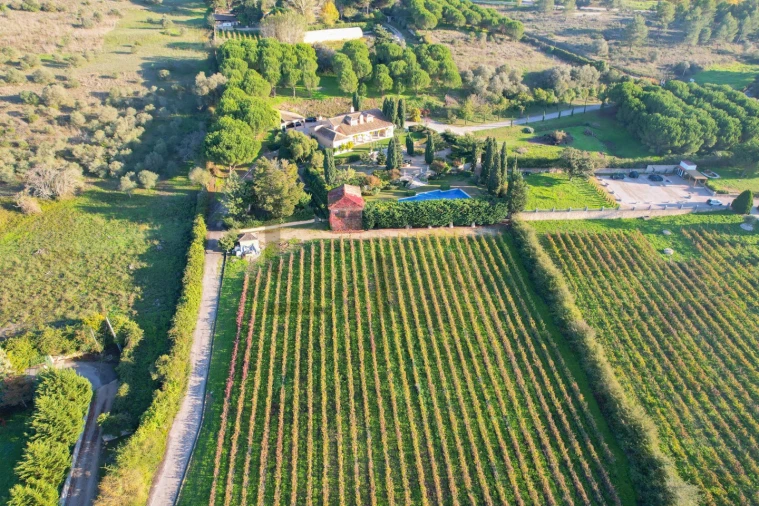 Quinta T5 para Venda em Azeitão (São Lourenço e São Simão) Foto 12