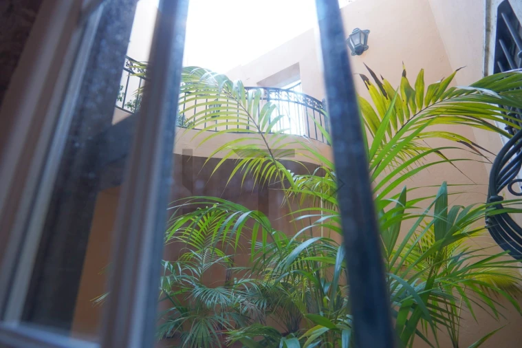 Quinta T5 para Venda em Azeitão (São Lourenço e São Simão) Foto 58