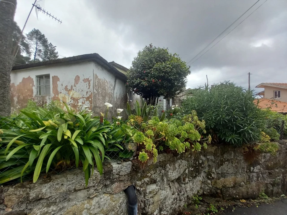 Moradia T3 para Venda em Perozelo Foto 7