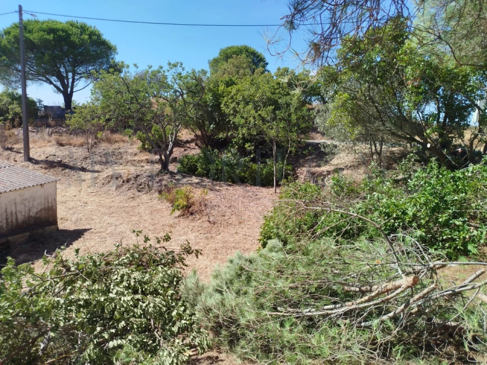 Terreno Misto para Venda em Santa Catarina da Fonte do Bispo Foto 38