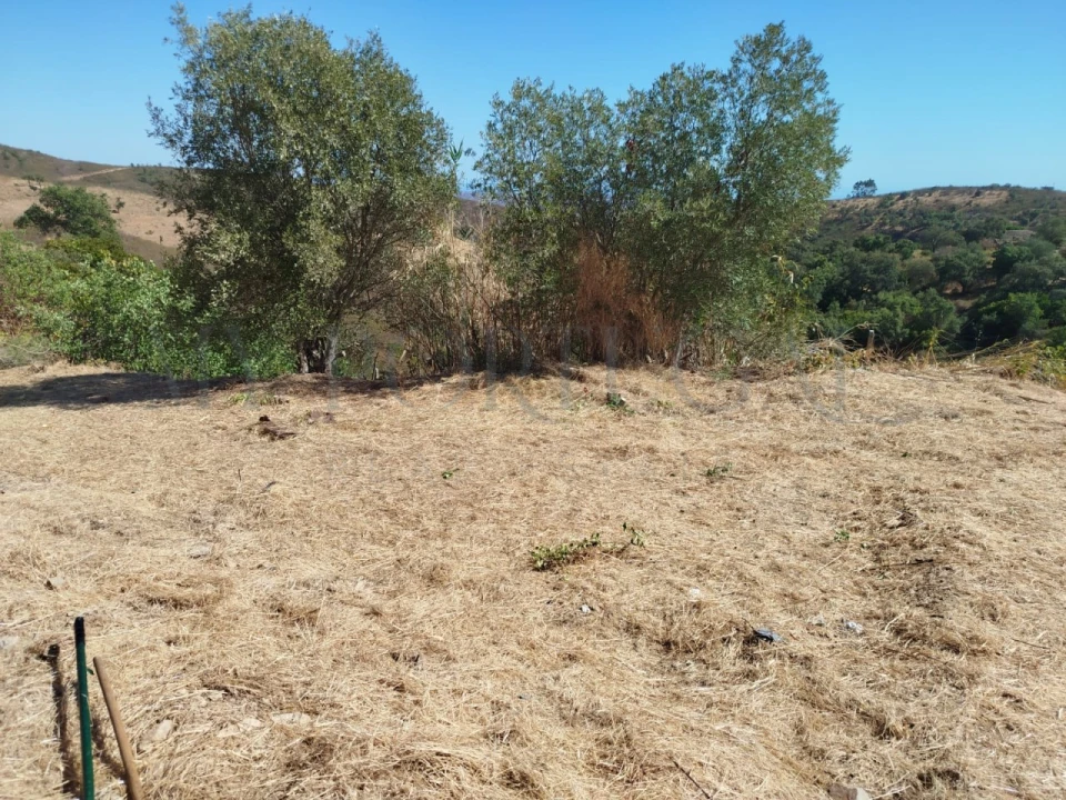 Terreno Misto para Venda em Santa Catarina da Fonte do Bispo Foto 48