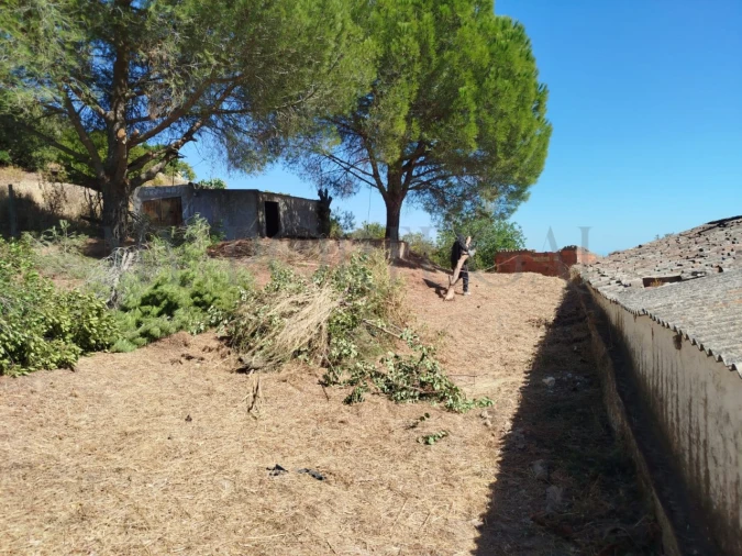 Terreno Misto para Venda em Santa Catarina da Fonte do Bispo Foto 30