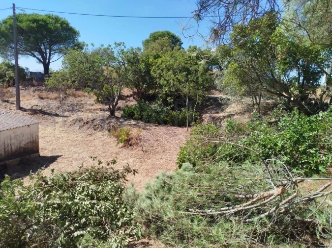 Terreno Misto para Venda em Santa Catarina da Fonte do Bispo Foto 38