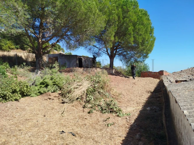 Terreno Misto para Venda em Santa Catarina da Fonte do Bispo Foto 44