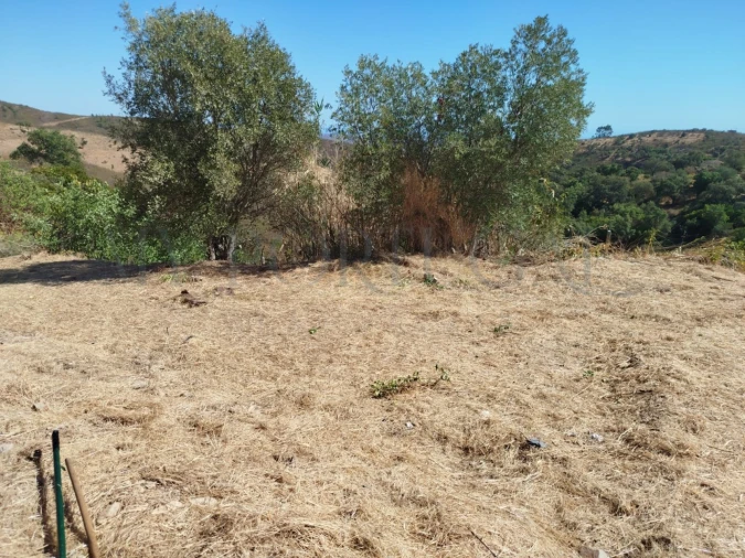 Terreno Misto para Venda em Santa Catarina da Fonte do Bispo Foto 48