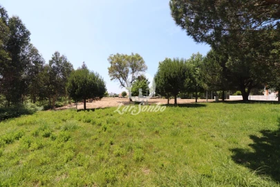 Terreno para Venda em Anta e Guetim